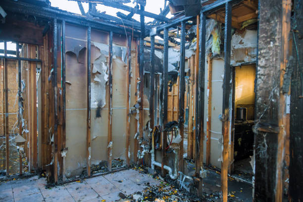 Professional Smoke Damage Removal technician working in Burnsville, MN